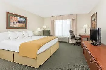 Villa Tequila Cabo San Lucas فندق