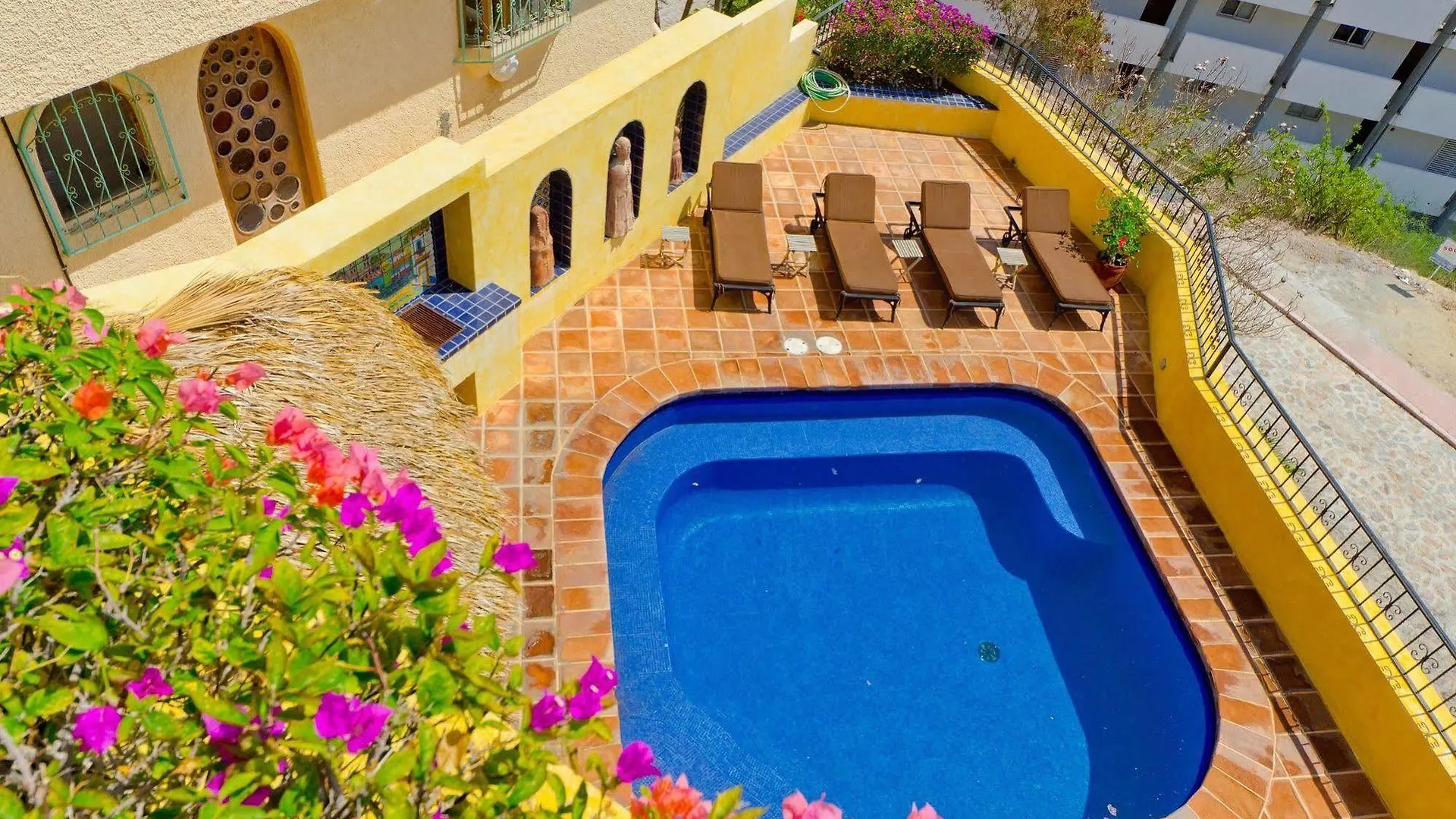 فندق Villa Tequila Cabo San Lucas المكسيك